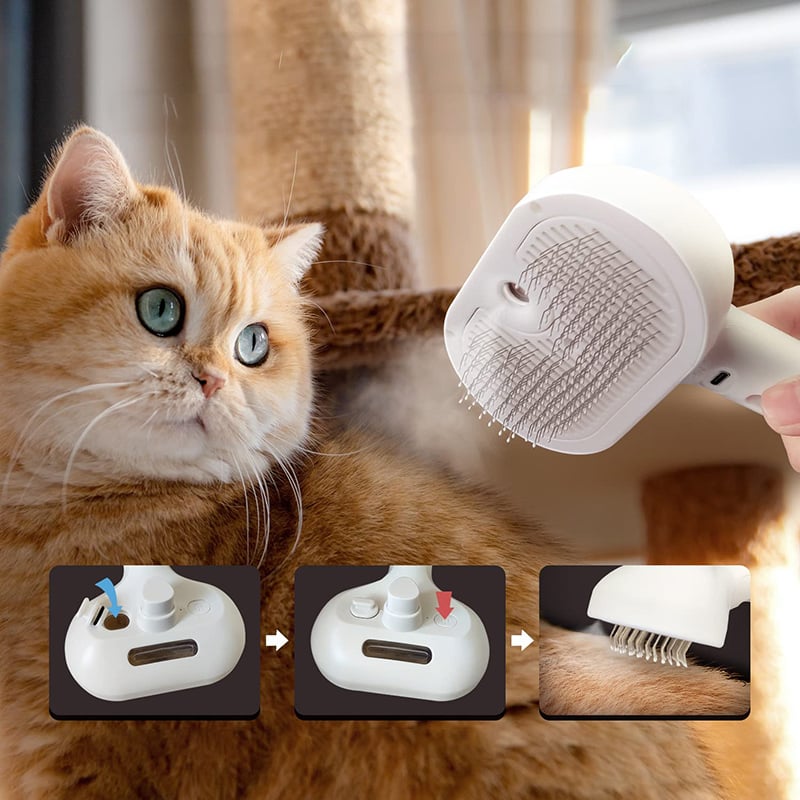 Spray-Katzenbürste