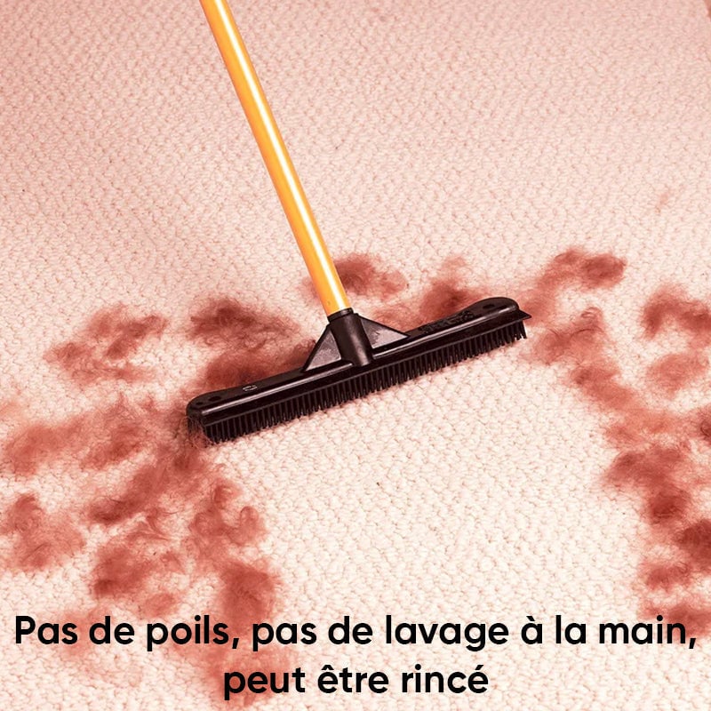 Balai d'élimination des poils d'animaux