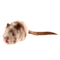 Maus