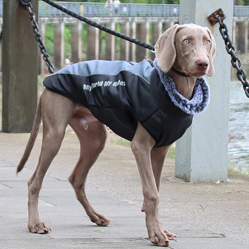 Pet Reflective Insulated Jacket