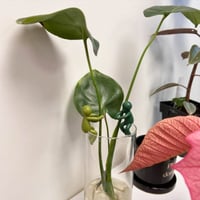 4_17e30c1f-b118-4e97-9793-dba0f01f55cd