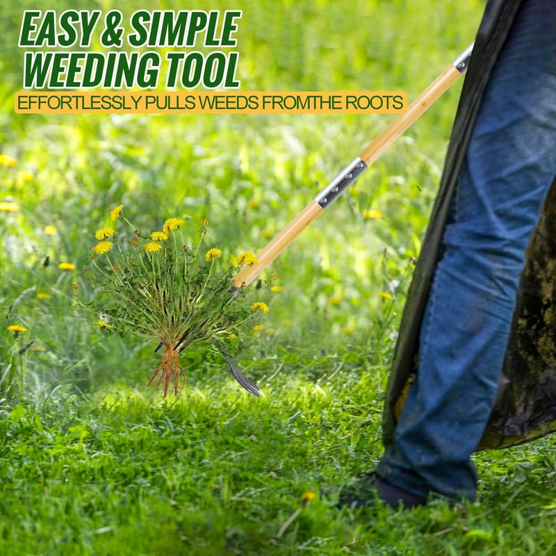81hGV34yGuL._AC_SL1500_.jpg