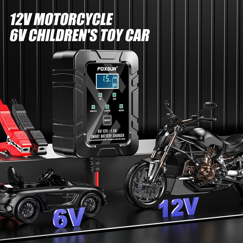 6v 12v Automatic Intelligent Recognition