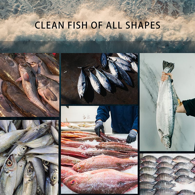 Saker Powerful Electric Fish Scaler