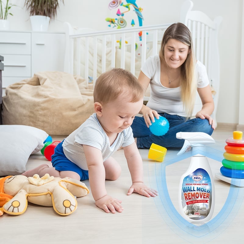 Wall Mold Remover Spray