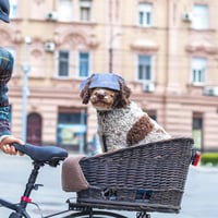 Buitenzonweringkap voor honden