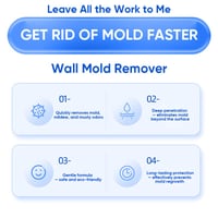 Fast Acting Anti-Mold Wall Cleaner Spray