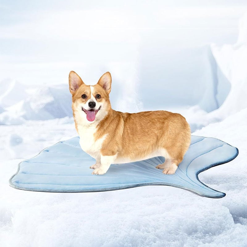 1_07189294-2b04-4a5e-a2b4-e07304b628e6