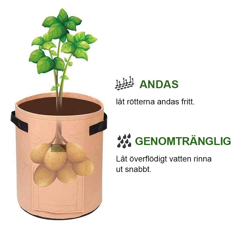 Tygkruka | Odla grönsaker