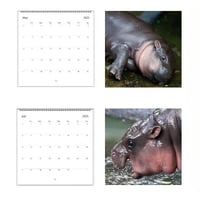 Moo Deng Kalender | Kalender 2025-1