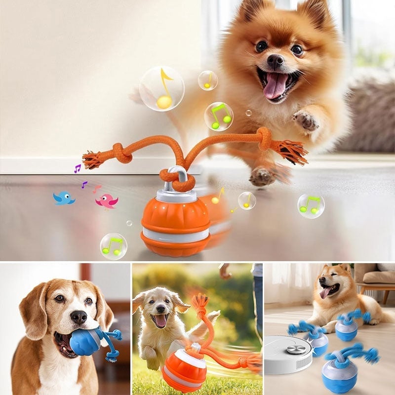 ⭐Interactive Smart Rolling Pet Ball