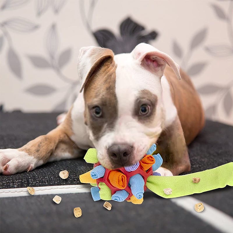Kauspielzeug für Hunde