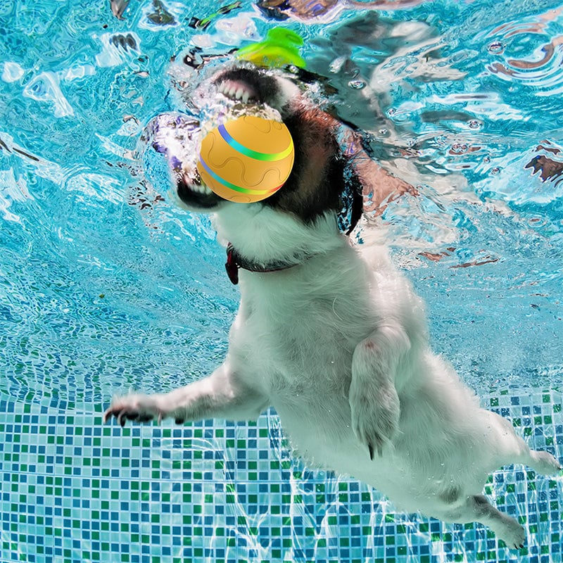 Interactive Dog Toys Dog Ball