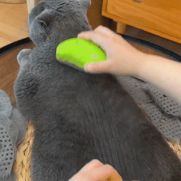 Cat Grooming Comb with Steam