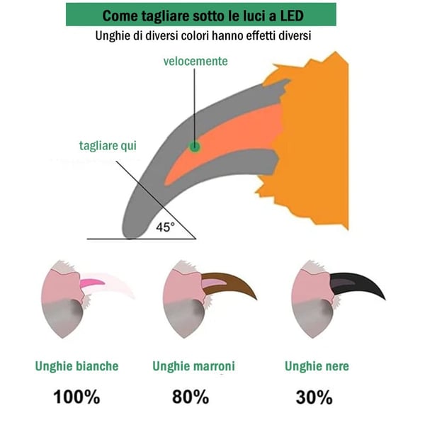 Tagliaunghie professionale per animali domestici