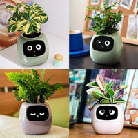 Smart AI Flowerpot with Temperature Display and Animated Expressions