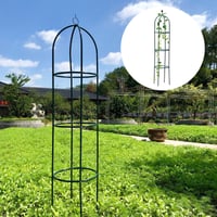 Garden Trellis for Climbing Plants