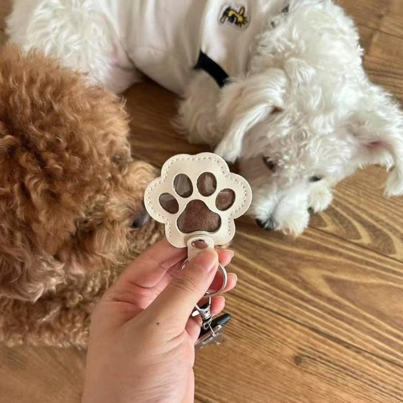 Pet Fur Memory Keychain