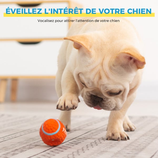 Jouet immortel pour mâcheurs agressifs