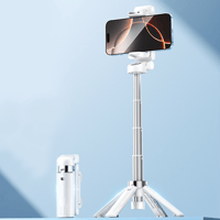Multifunctional selfie stick