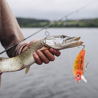 24 päivän joulukalastuskalastusvälineet