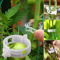 Attaches de support pour plantes