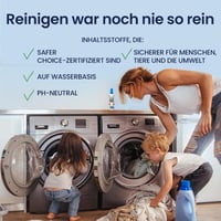 Fleckenentferner-Spray