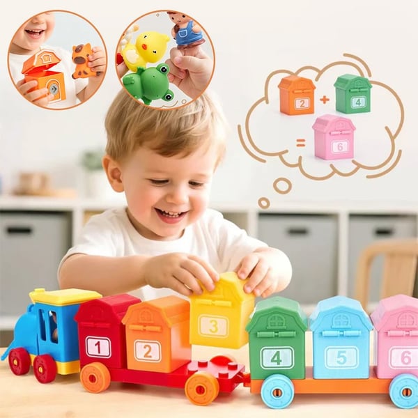 Matching & Sorting Activity Train Set