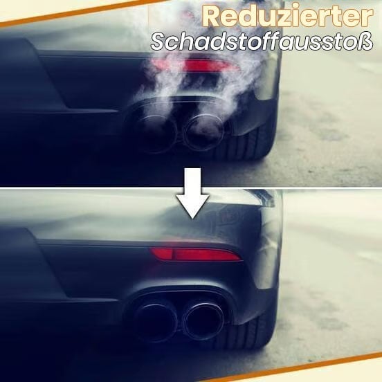 Motor-Katalysator-Reiniger