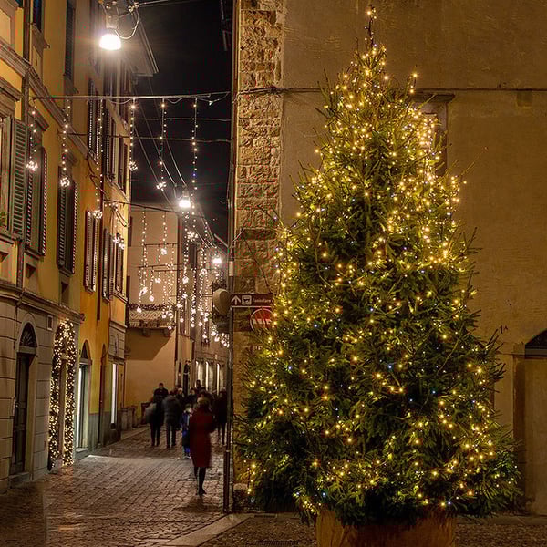 076acbca-f384-4e8b-62af-dbbddb6da600