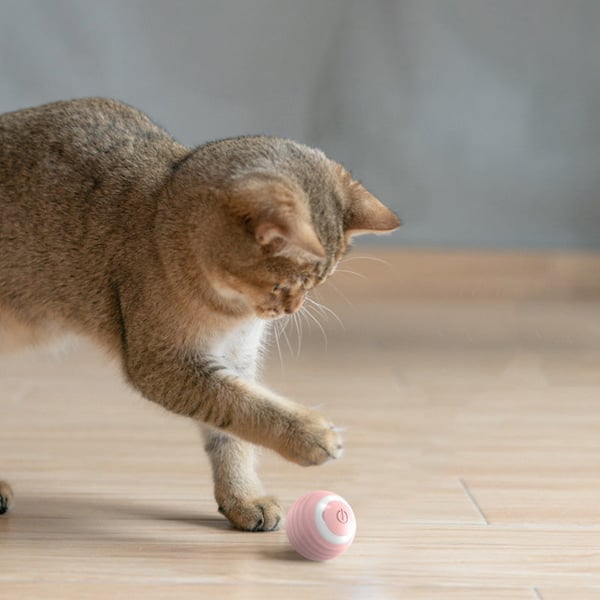 Smart Gravity Cat Teaser Ball