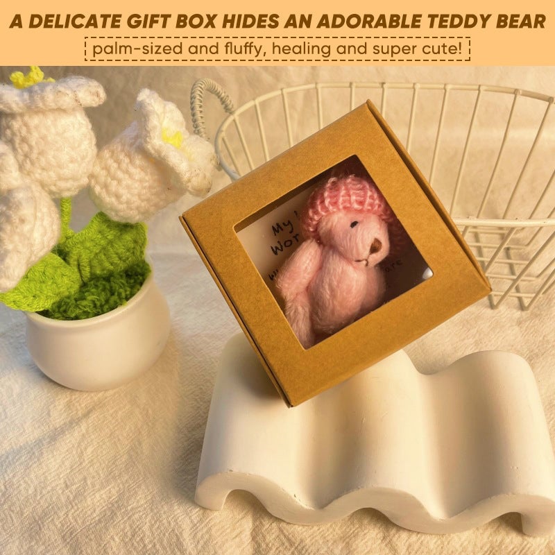 Handmade Mini Plush Teddy Bear in Box