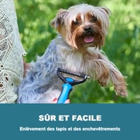Brossedetoilettagepouranimauxdecompagnie_3