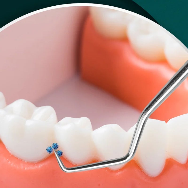 05_619ff26b-dd54-4faf-9173-9dfb4abd9e67