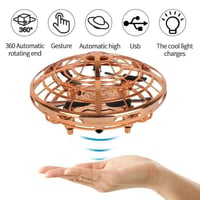 Mini UFO induction aircraft