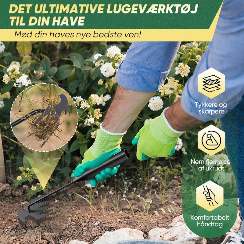 1_06634871-ab43-48ce-8221-5c936a5e0c16