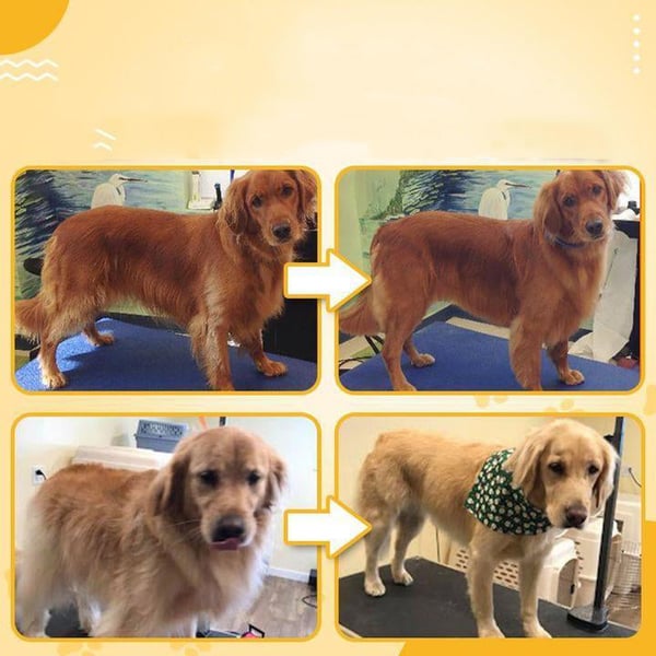 Husdjursvårdskam för hundar och katter