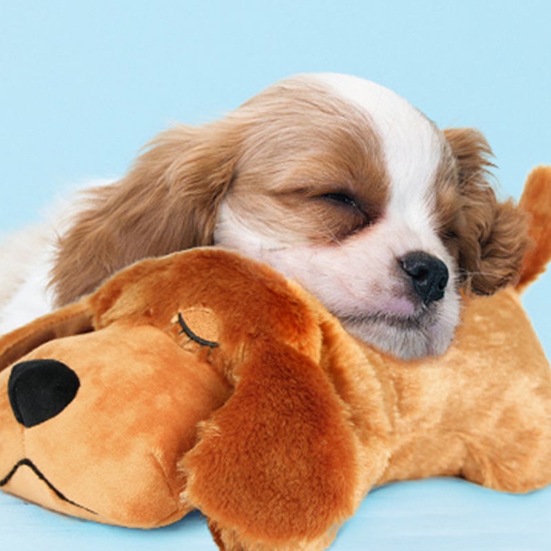 6_a4963f1d-a8de-4fd3-81ab-9c69b436144d