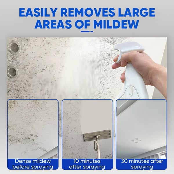 Fast Acting Anti-Mold Wall Cleaner Spray