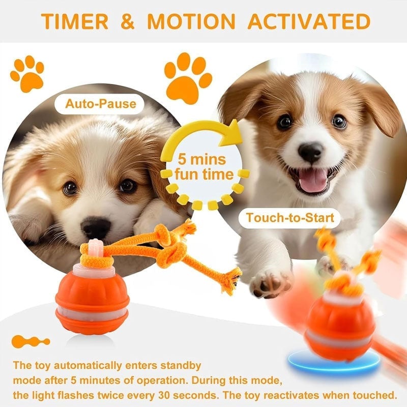 ⭐Interactive Smart Rolling Pet Ball