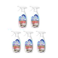 Fast Acting Anti-Mold Wall Cleaner Spray