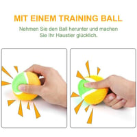 Lustiges Tier Ballpielzeug
