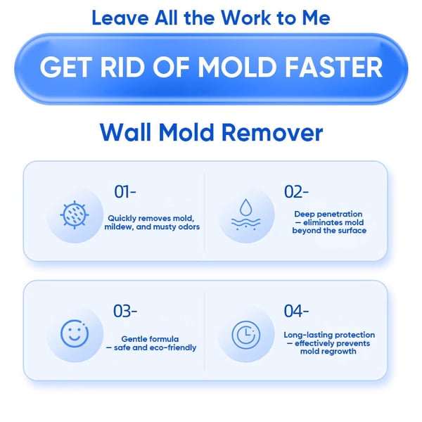 Fast Acting Anti-Mold Wall Cleaner Spray