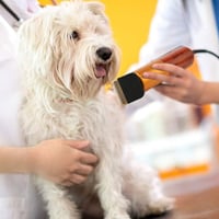 Sakerplus Low Noise Electric Carpet Trimmer