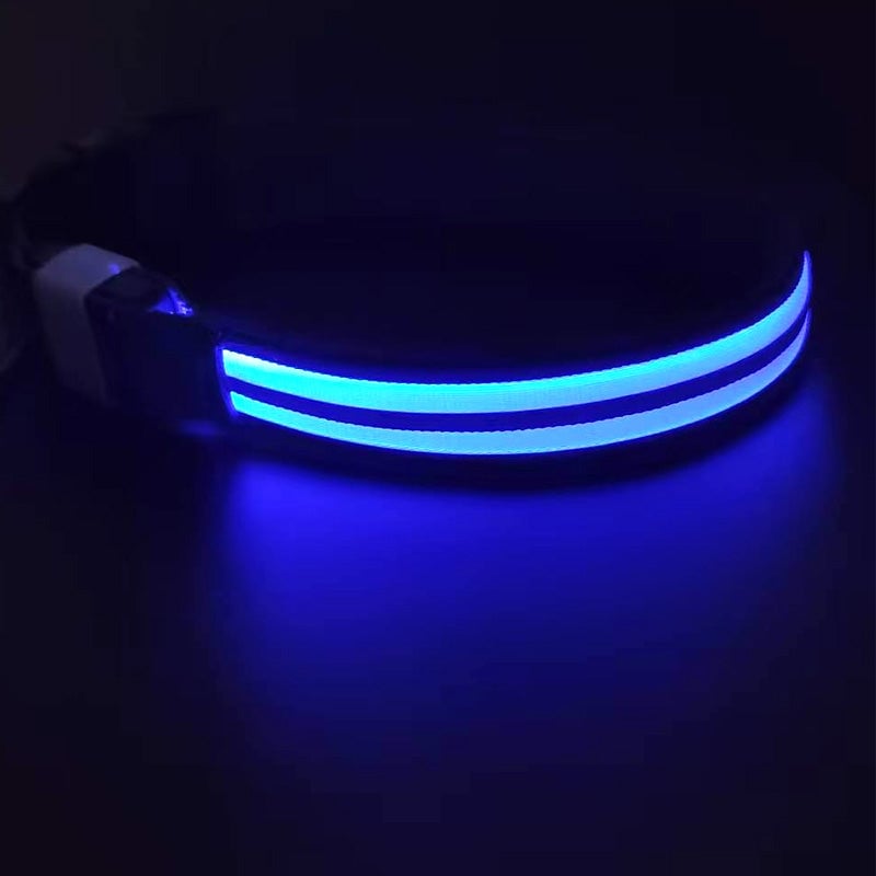 Dual Fiber Nighttime Luminous Dog Collar