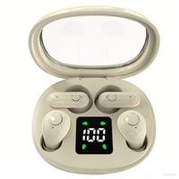 Dual Bluetooth Wireless Earbuds