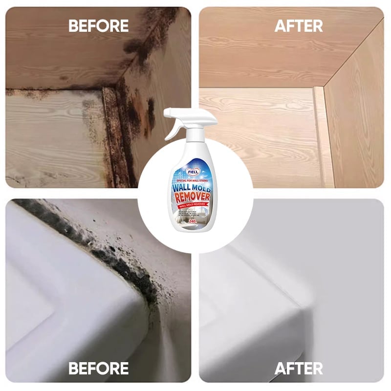 Wall Mold Remover Spray
