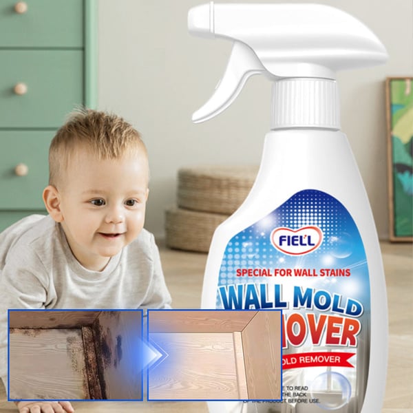Fast Acting Anti-Mold Wall Cleaner Spray