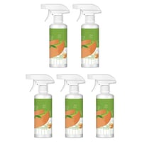 Electrolyzed Ion Kitchen Cleaner Spray