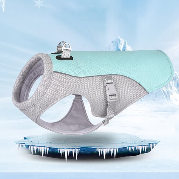 Gilet de refroidissement pour animaux de compagnie d'été